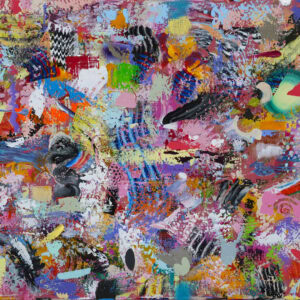 Cosmic Landscape I